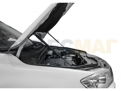 Амортизаторы капота Автоупор, 2 шт. для Haval H6 2014-2020